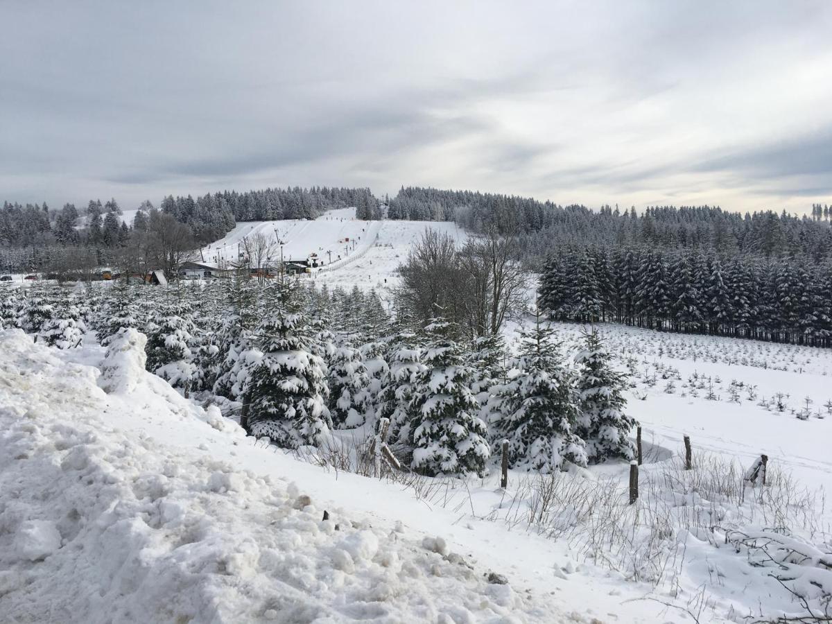 Cityappartement Feldstrasse Winterberg Eksteriør bilde